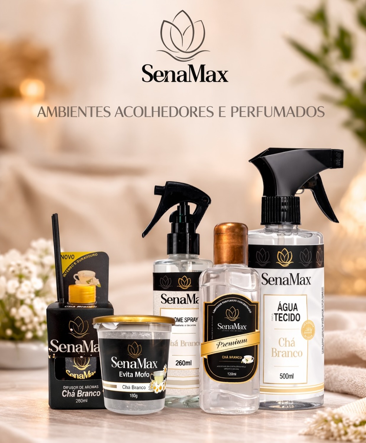 senalandia_1774309405_3859508704454987734_9479106051